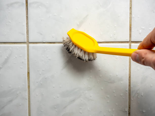 Best Localized Mold Remediation (e.g., coastal areas, humid climates) in Warren, MI