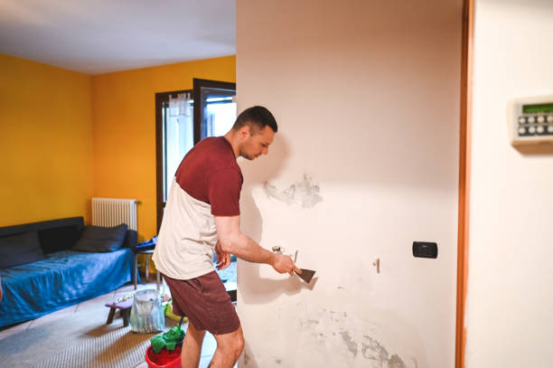 Best DIY Mold Remediation Support Services in Warren, MI